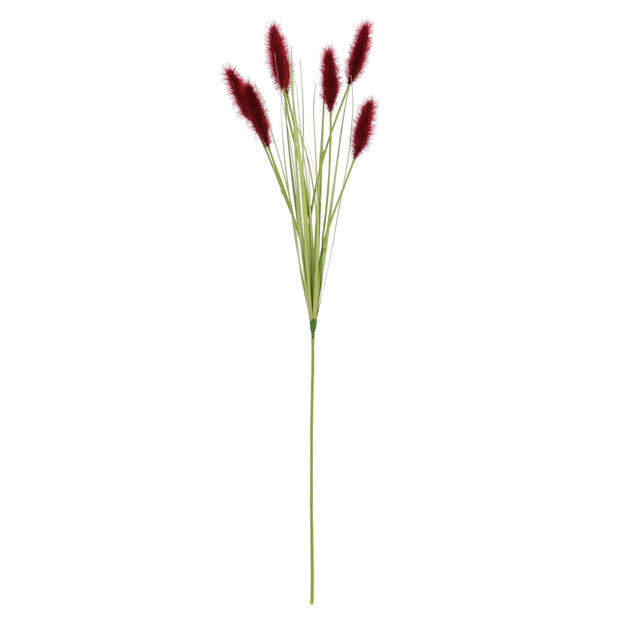 Burgundy Bunny Tail Stem by Ashland®